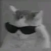 m_mads_