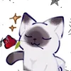 cat_noob07