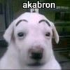 el_seor_mipastor