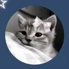 maria.euamogatos