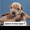 ml.tamales_5000
