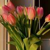 bundacupes_comel2