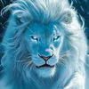 mehtab.wazir471