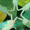 ailandmikan