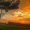mahmudul0226