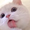 nong.noo.a