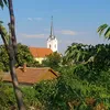 zsozs33