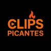 clipspican7es