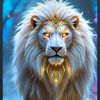 hamza.ameen12
