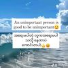 user553269063