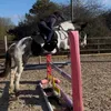 rebecca13_5