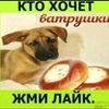 dmitriyvlasenko20