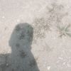 amaaja56