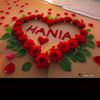 haniagull.804