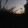 iqblzzzz_156
