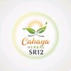 cahaya.herbalsr