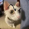anh.tuan.nguyen576