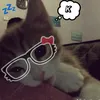 hkhoii_thnp_210