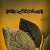 ahmaida83
