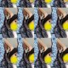 adhilaaevelynaaa