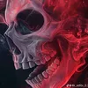 omarn0500