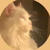 rahaf142_2