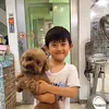 bawlato_
