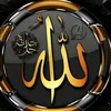 user5317586143100