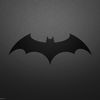 thedarkknight9506