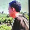 setia4478