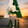 aliarshad.bhutto