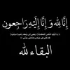 mlokk460