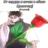 ani.kresr