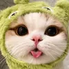 user109580466