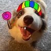 biscuit_is_awesome