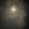 imoonnlight
