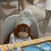 Rango the monkey