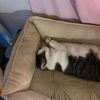 viviana_tiktok_hehe
