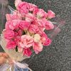 zahraaalaa3797