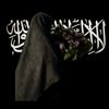 nessrin1156