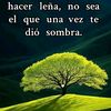 miguel.mendoza.mz1