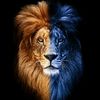 user60260015050732