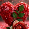 asim.malik402