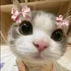 nguyenanhello567