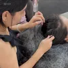 NHỔ TÓC BẠC 👨🏼‍🦳