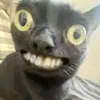 __72898