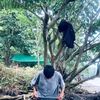 ken.lantong