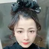 honghaodocle