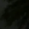 rim_ali1