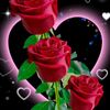 talah.ali45